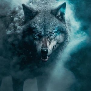 Meet your Posher, Derek